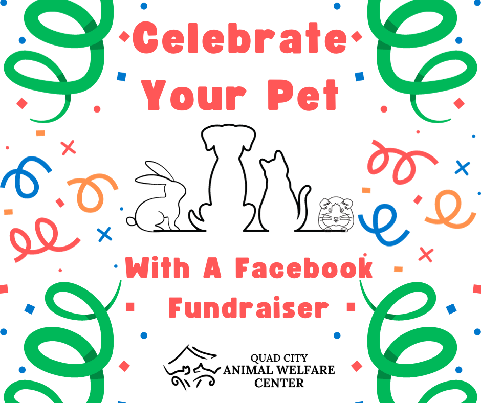 Celebrate your pet facebook post 1